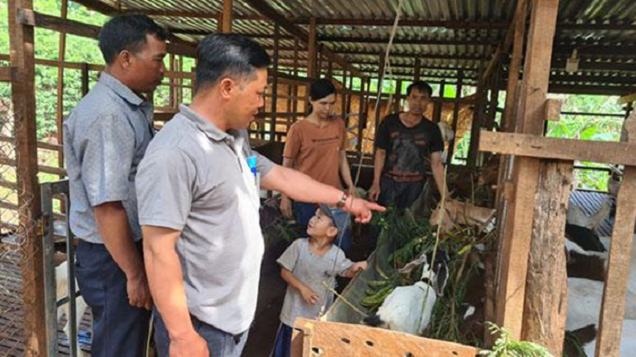 Nong dan xa Ea Hiao thu nhap cao nho chan nuoi de 1